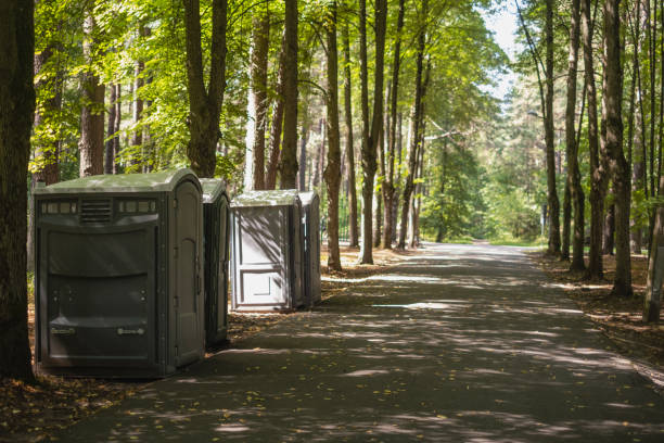 Best Porta potty delivery and setup  in Mahnomen, MN
